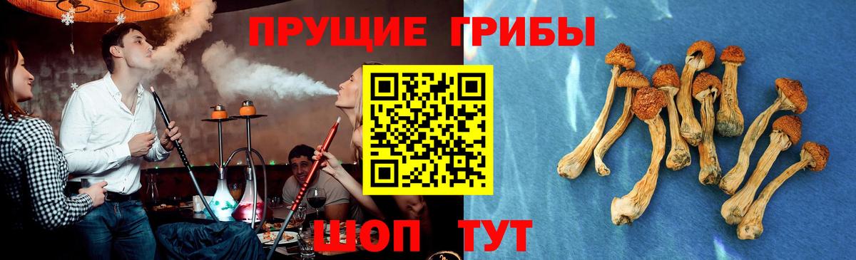 что такое   Псилоцибиновые грибы MAGIC MUSHROOMS  Вход с VPN  Галлюциногенные грибы Cubensis  Мичуринск 
